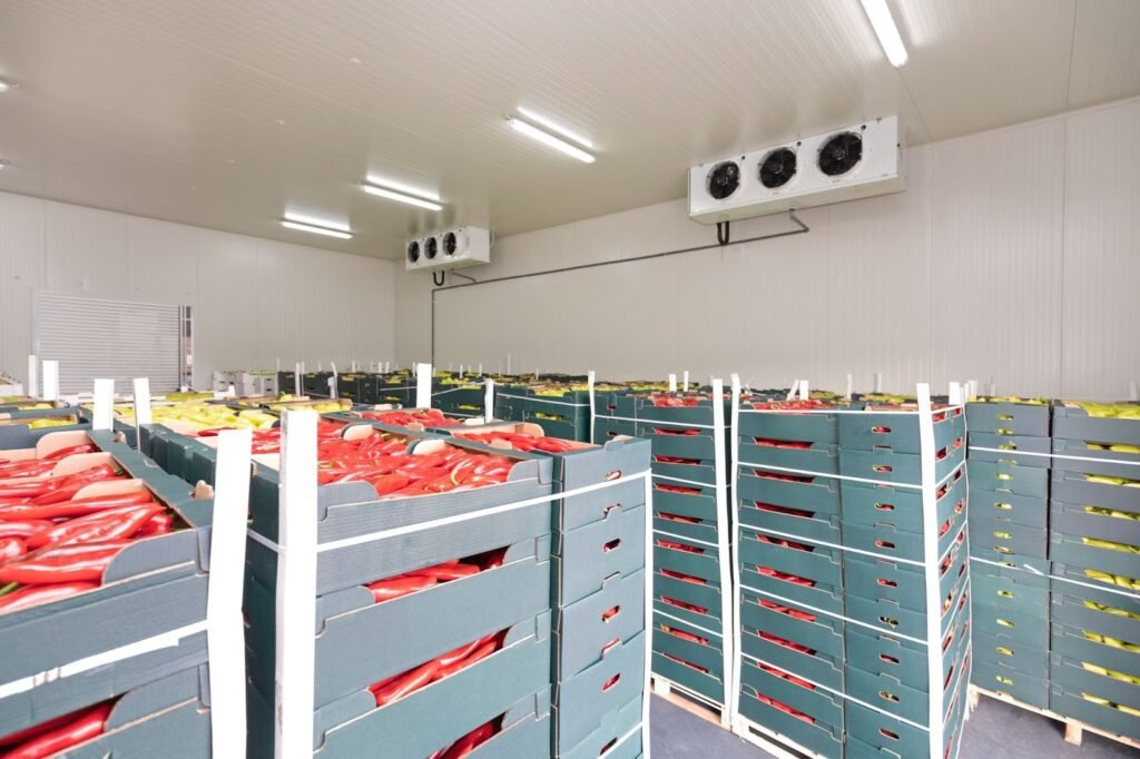 cold storage warehouse